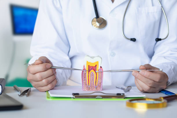 Best Dental Abscess Treatment in Greenville, NC